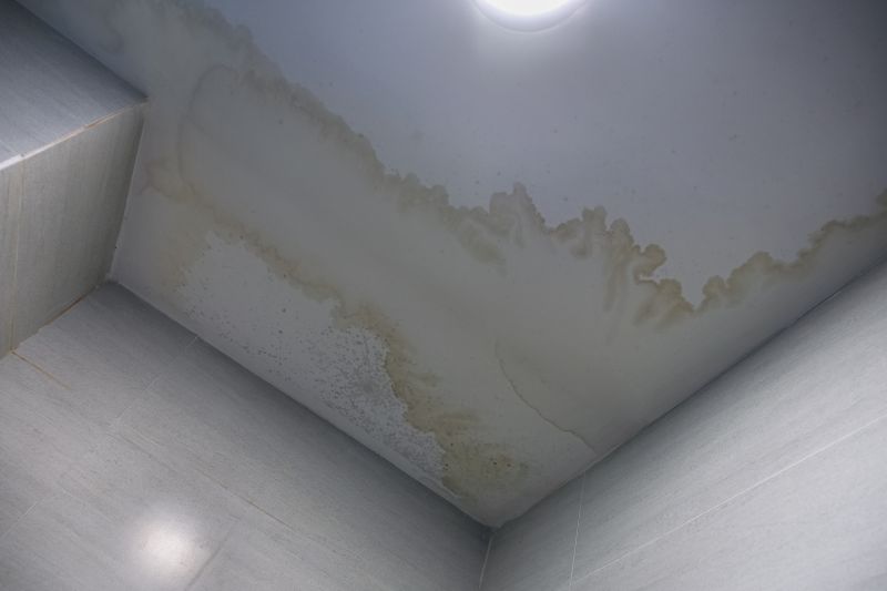 Ceiling Crack Repair in Olathe, KS