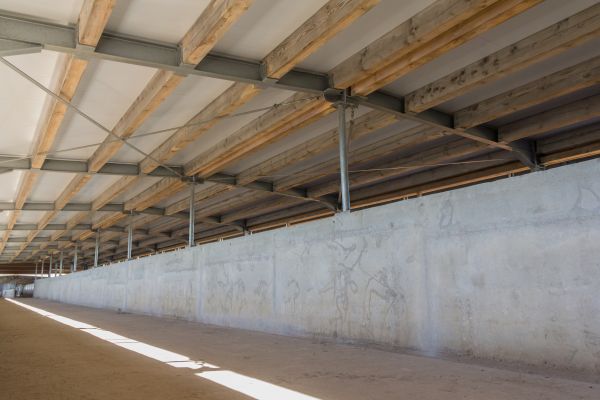 Batt Insulation Installation